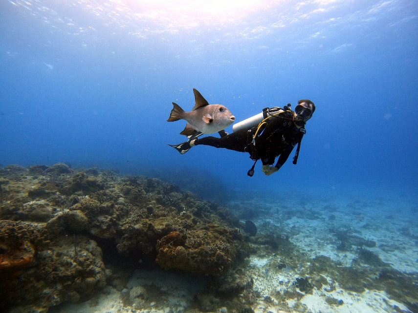 Villa Nautica, Maldives a best diving resort in the Maldives