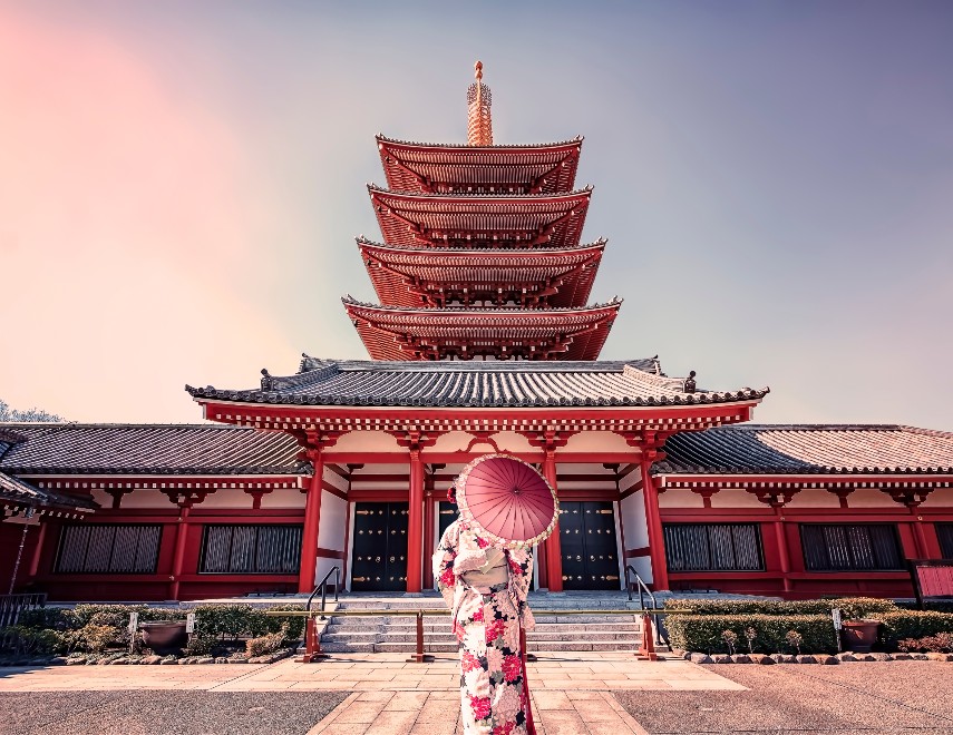 Visitor Arrivals in Japan in November