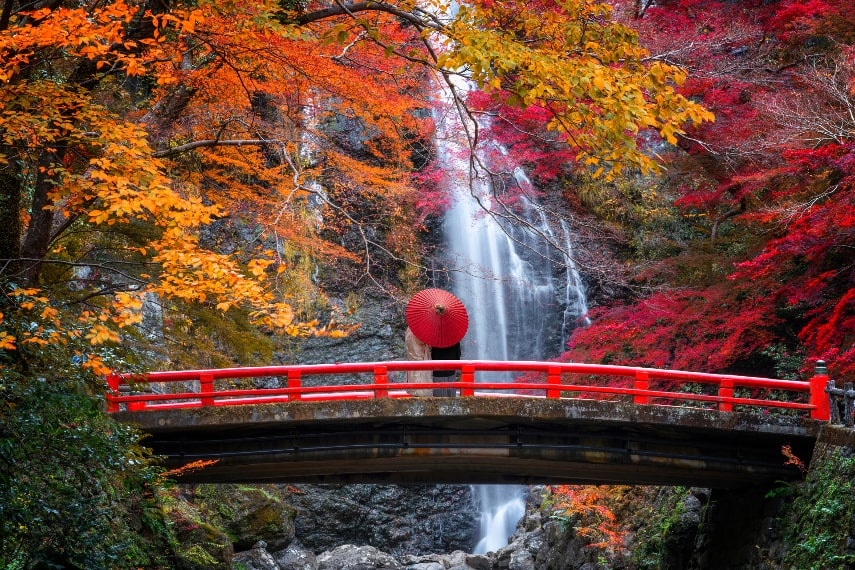 Visitor arrivals in Japan in September