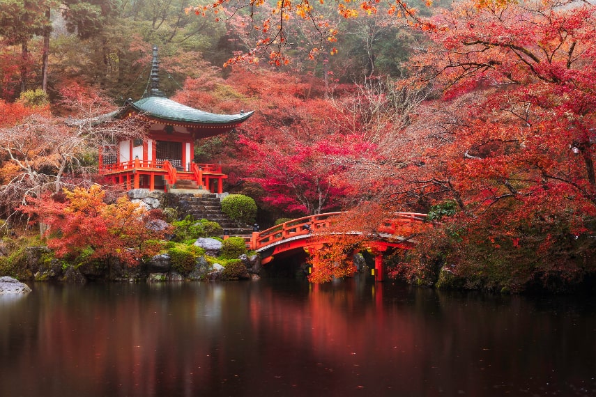 Weather in Japan in November