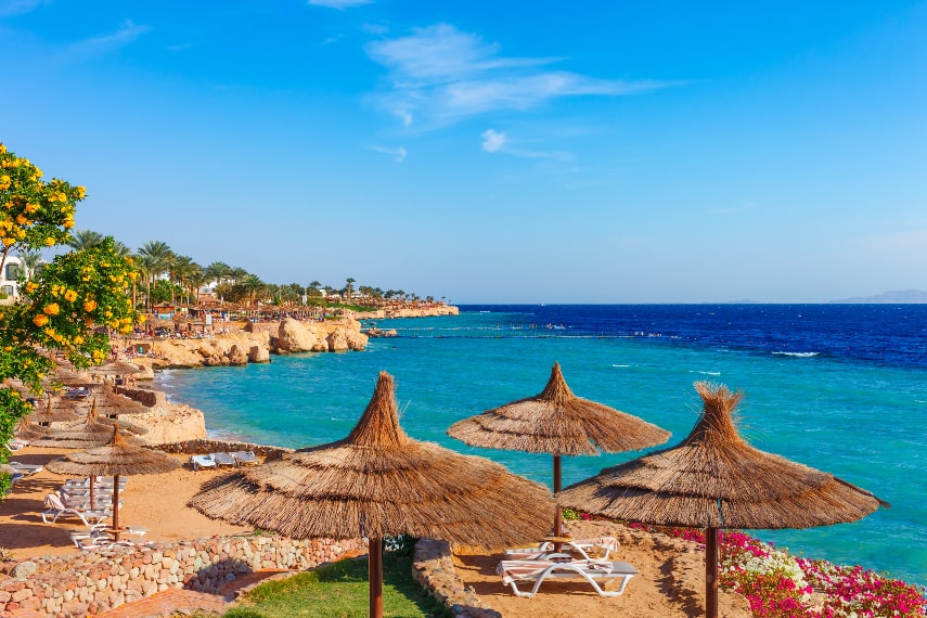 Visit Egypt in december