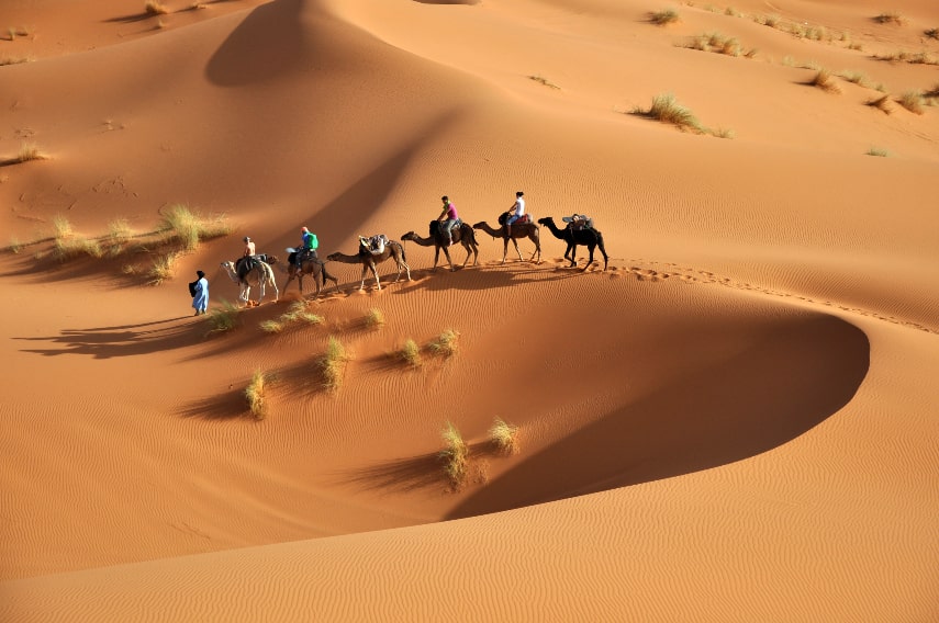 What in Egypt in November