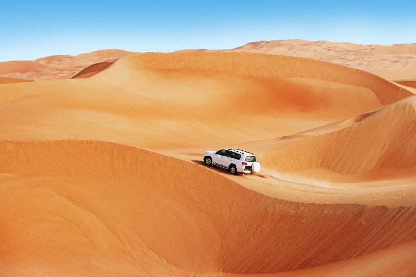 Dubai safari in january