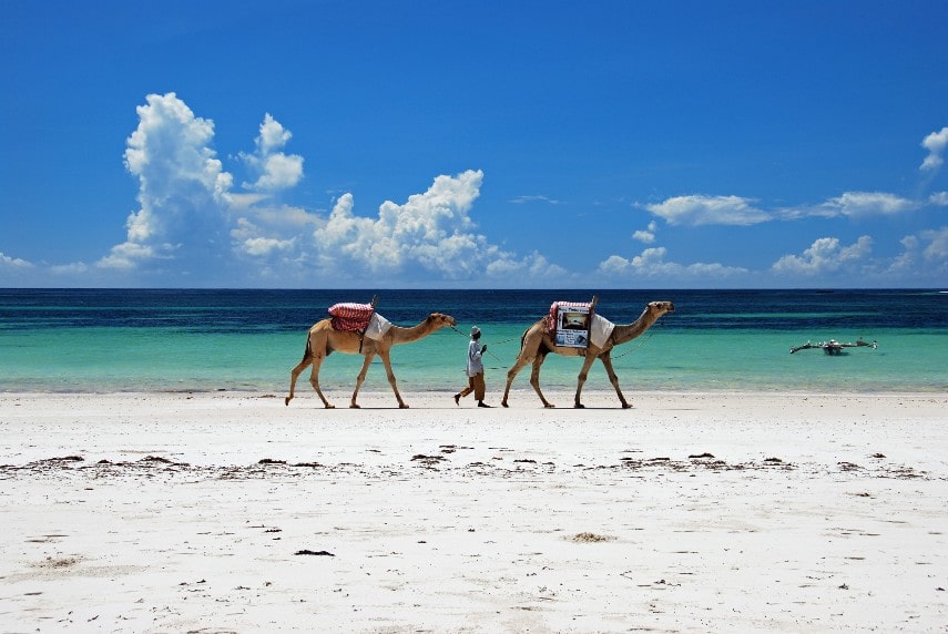 Kenya africa beach to visit in january
