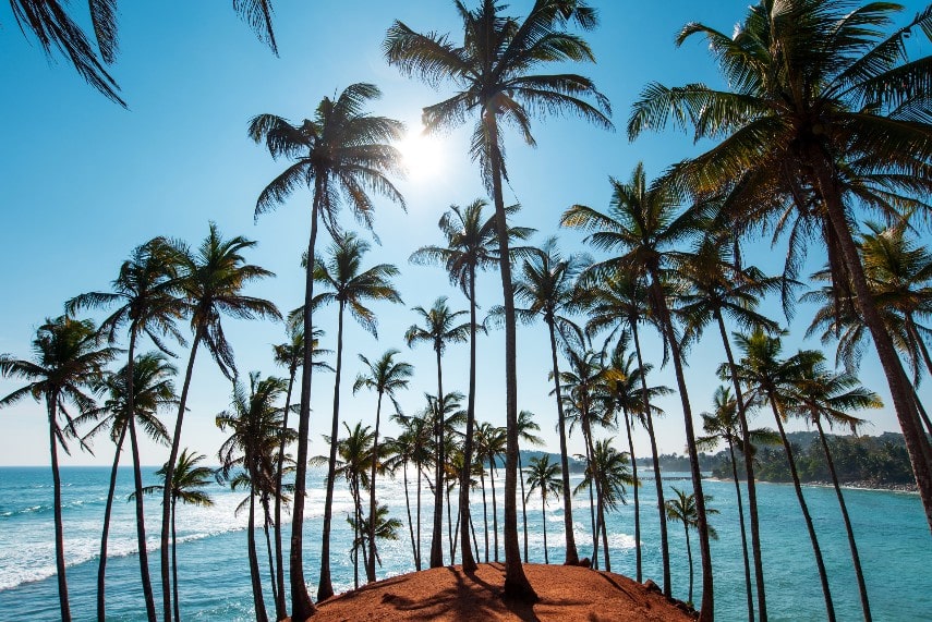 Mirissa beach, Sri Lanka