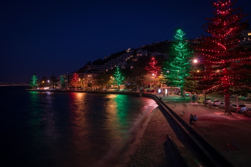 New Zealand Christmas Trees