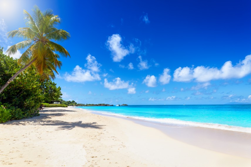 palm beach