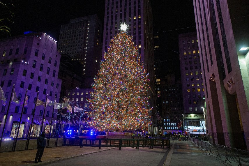 Schomburg holiday market, New York