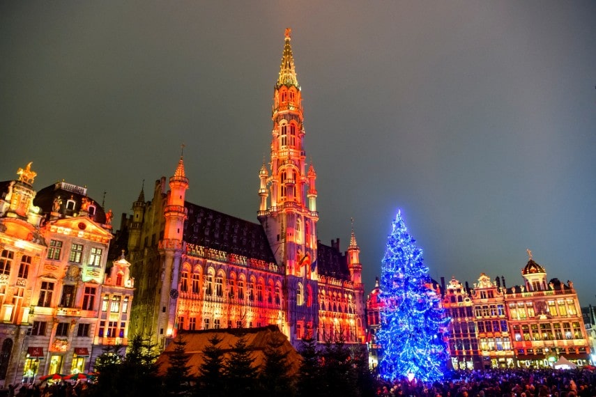 Towering tree in Grand place, Brussels