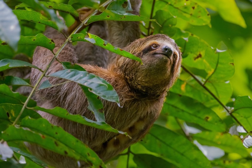 Manuel Antonio National Park