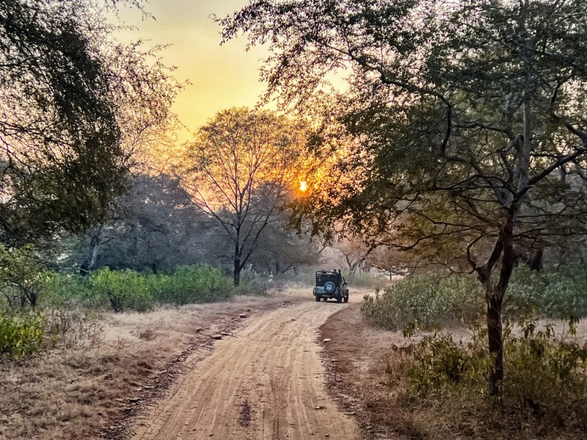 Visit Ranthambore national park