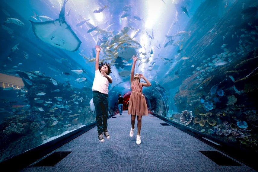 Dubai aquarium and underwater zoo