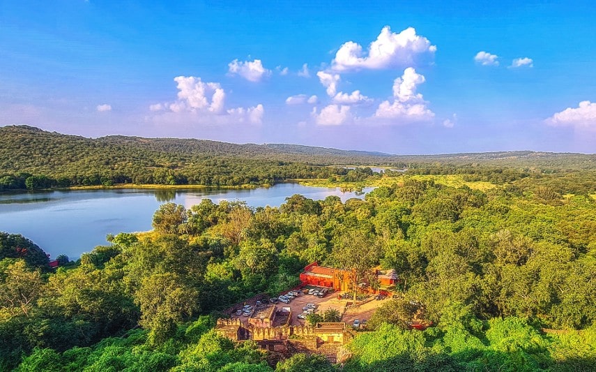 Ranthambore national park view