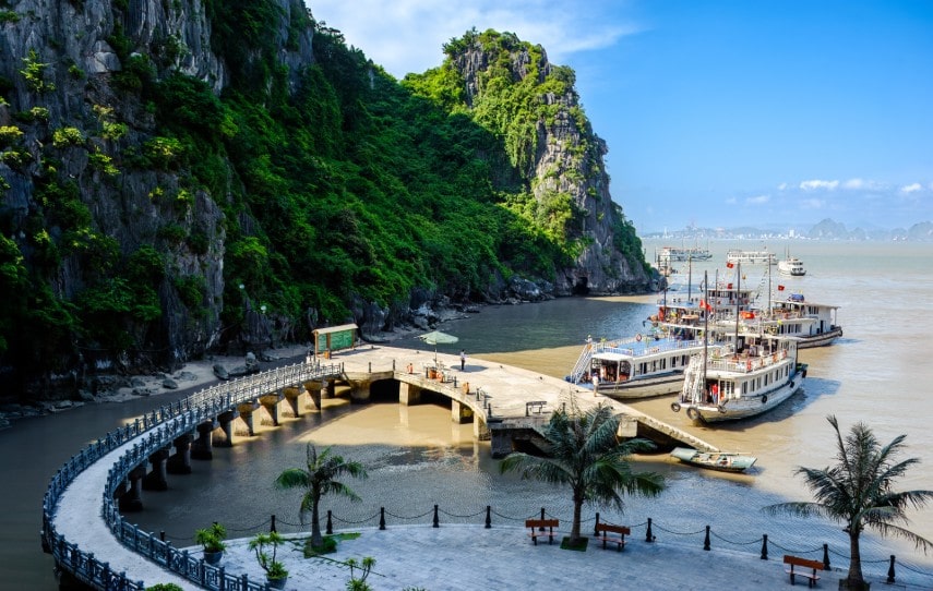 Visitors arrival in Vietnam
