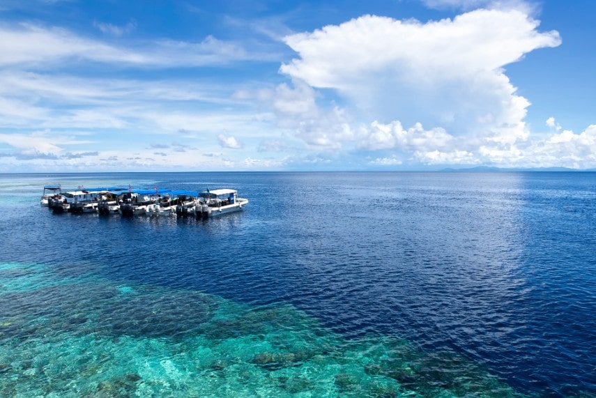 underwater dive at Barracuda point, Sipadan island