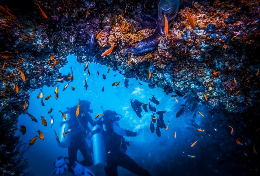 November is perfect for snorkelling
