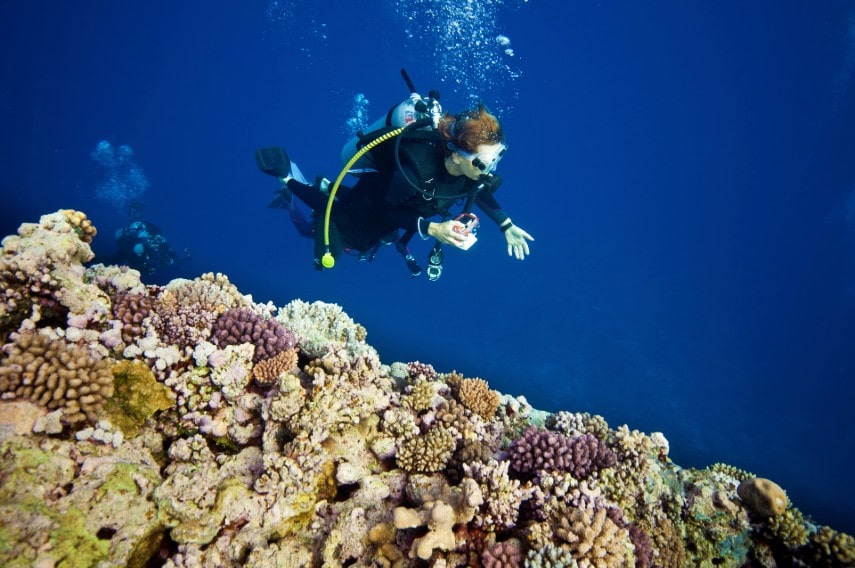 Great blue hole, Belize is a dream destination for divers