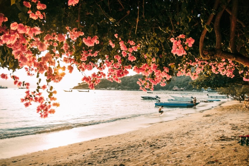 Visit oh Samui in September