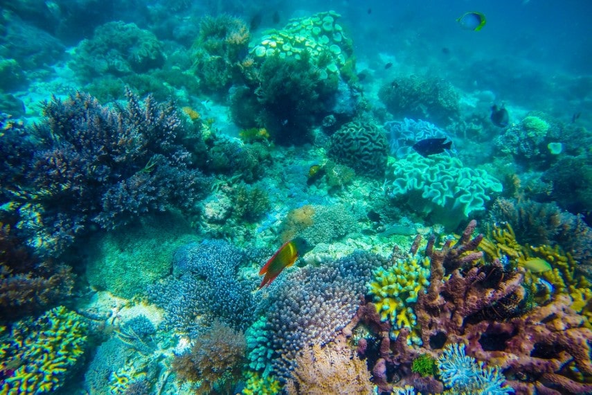 Komodo National Park is an underwater diving spot