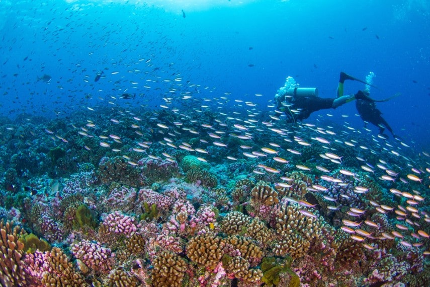 Tubbataha Reefs for divers