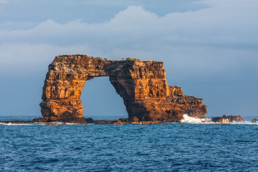 Wolf and darwin islands in the Galápagos for experienced divers
